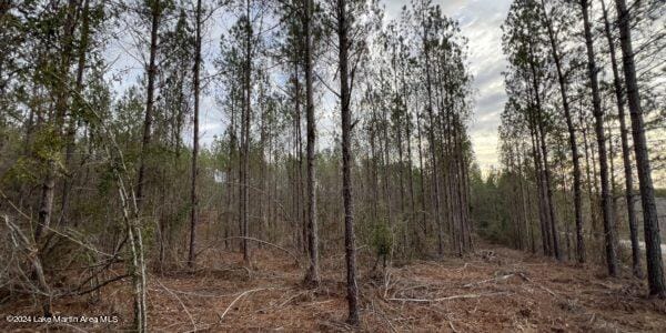 24/- Pleasant Rd, Camp Hill, AL 36850 - photo 5