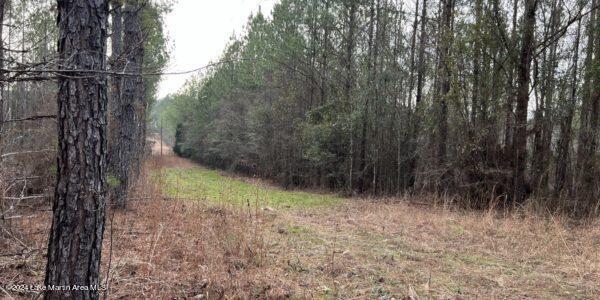 24/- Pleasant Rd, Camp Hill, AL 36850 - photo 15