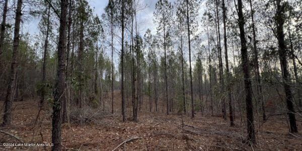24/- Pleasant Rd, Camp Hill, AL 36850 - photo 6
