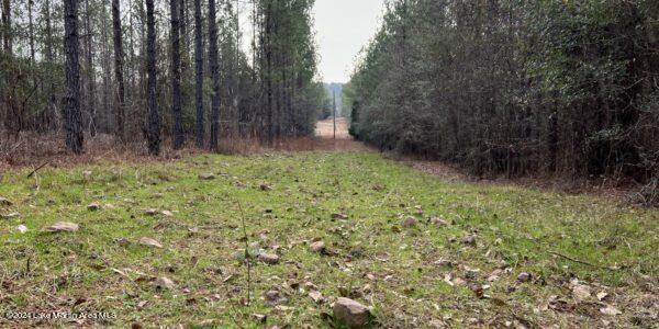 24/- Pleasant Rd, Camp Hill, AL 36850 - photo 17