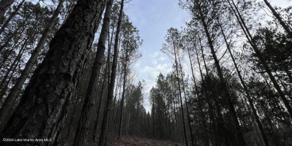 24/- Pleasant Rd, Camp Hill, AL 36850 - photo 11