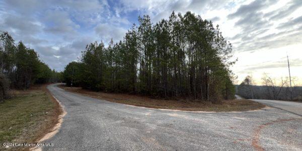 Listing photo 2 for 24/- Pleasant Rd, Camp Hill AL 36850