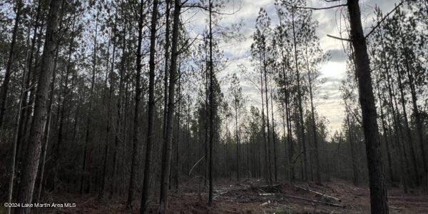 24/- Pleasant Rd, Camp Hill, AL 36850 - photo 14