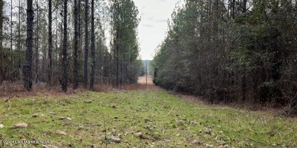 24/- Pleasant Rd, Camp Hill, AL 36850 - photo 16