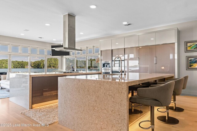 1020 Wake Robin, Eclectic, AL 36024 - kitchen featuring light wood-style floors, modern cabinets, a kitchen island with sink, and island exhaust hood