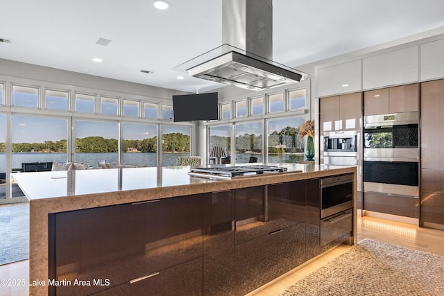 1020 Wake Robin, Eclectic, AL 36024 - kitchen with appliances with stainless steel finishes, light wood-style floors, recessed lighting, island range hood, and visible vents