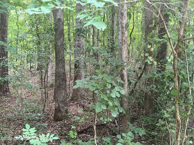 Turtle Ln, Dadeville, AL 36853 - photo 1