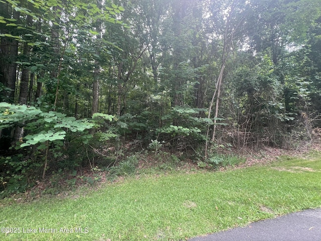 Turtle Ln, Dadeville, AL 36853 - photo 3
