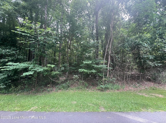 Turtle Ln, Dadeville, AL 36853 - photo 6