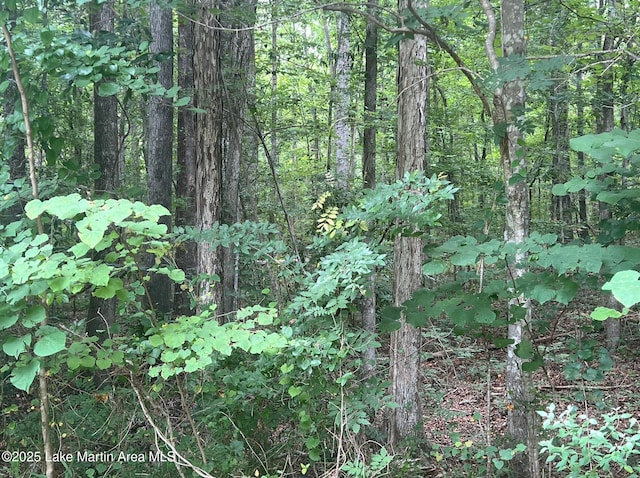 Turtle Ln, Dadeville, AL 36853 - photo 5
