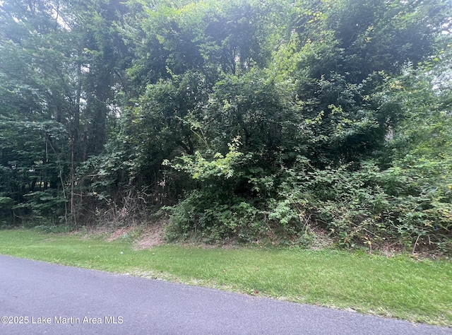 Turtle Ln, Dadeville, AL 36853 - photo 2
