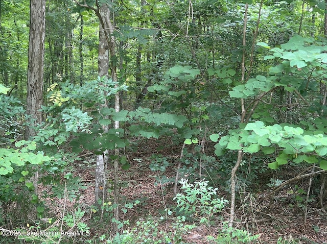 Turtle Ln, Dadeville, AL 36853 - photo 4