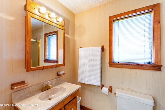 bathroom featuring vanity, toilet, and a textured ceiling