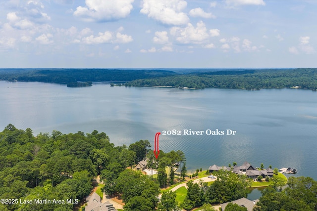 2082 River Oaks Dr, Jacksons Gap, AL 36861 - aerial view of a large body of water