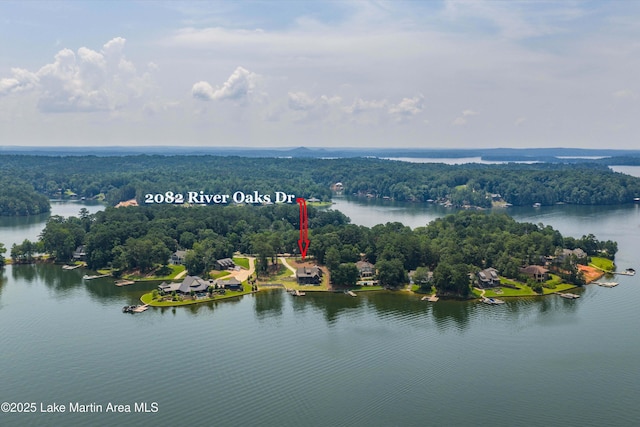 2082 River Oaks Dr, Jacksons Gap, AL 36861 - bird's eye view of a large body of water