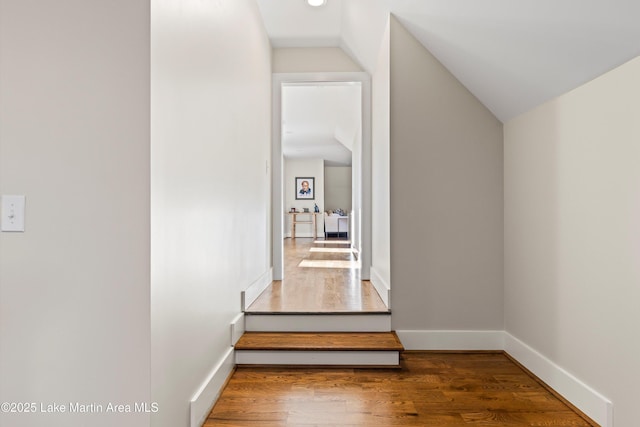 2082 River Oaks Dr, Jacksons Gap, AL 36861 - hall featuring wood finished floors and lofted ceiling