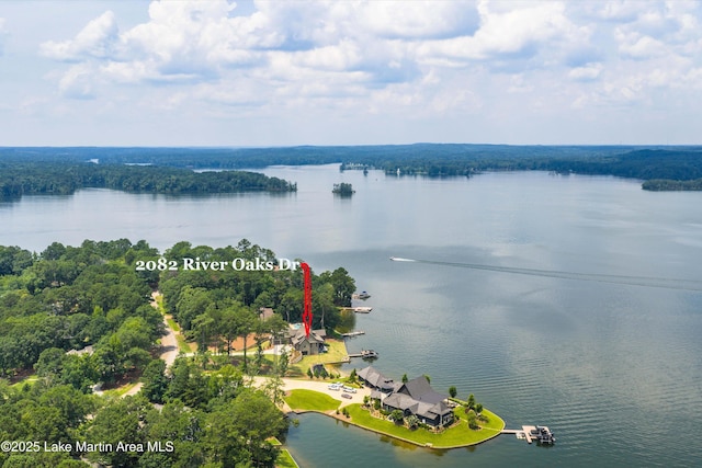 2082 River Oaks Dr, Jacksons Gap, AL 36861 - bird's eye view of a nearby body of water