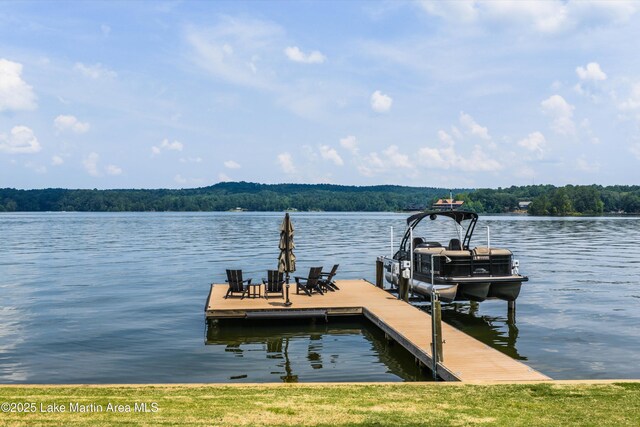 2082 River Oaks Dr, Jacksons Gap, AL 36861 - dock with a water view, a wooded view, and boat lift