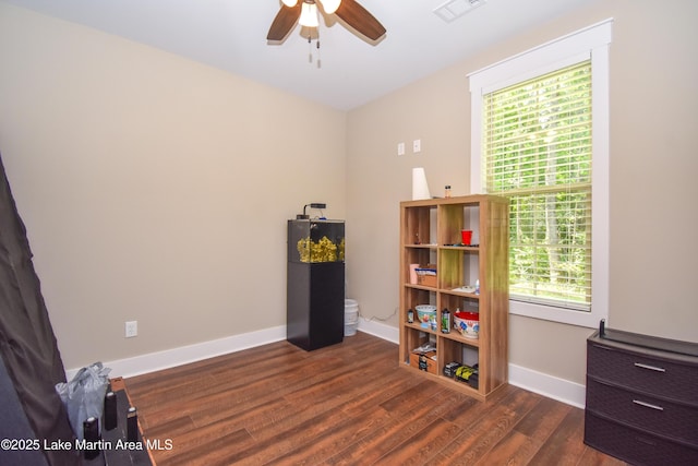 120 Rocky Creek Dr, Alexander City, AL 35010 - miscellaneous room with healthy amount of natural light, wood finished floors, and a ceiling fan