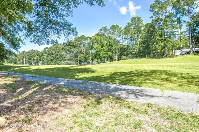 235 Hickory Way, Dadeville, AL 36853 - photo 53
