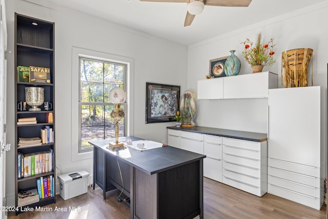 office area with plenty of natural light, dark hardwood / wood-style floors, and ceiling fan