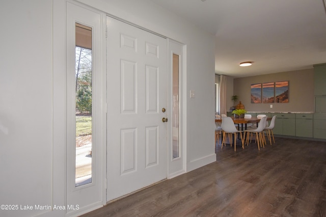foyer entrance featuring wood finished floors
