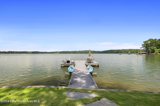 dock area with a water view