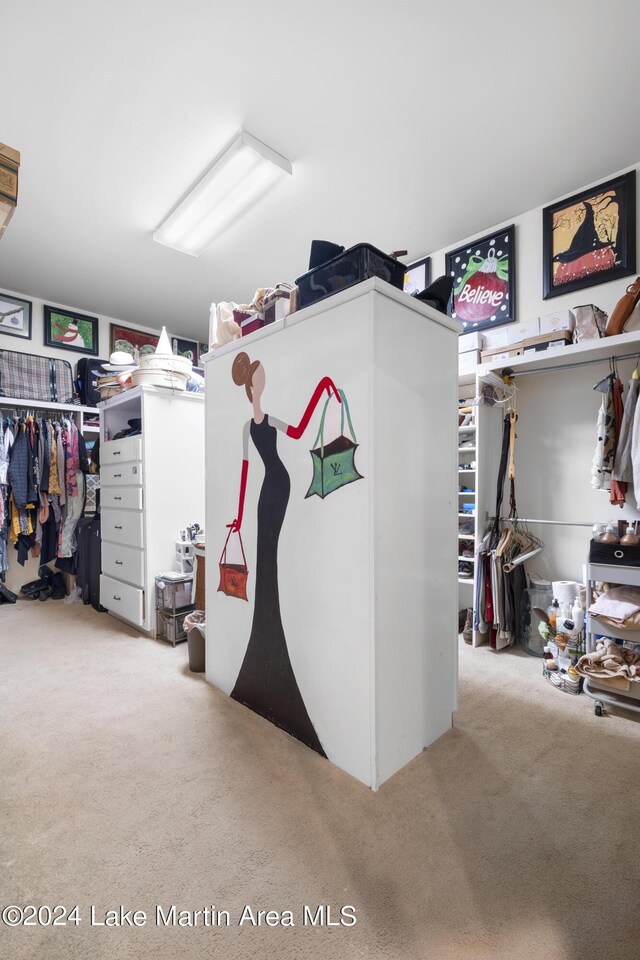 spacious closet featuring light colored carpet