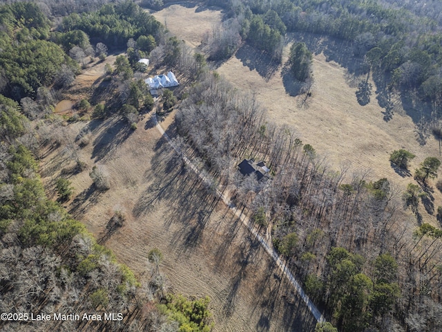 bird's eye view with a forest view