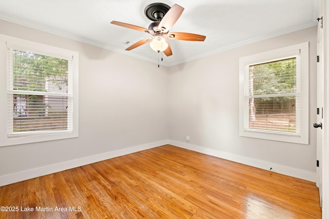 1016 E Magnolia Ave, Auburn, AL 36830 - photo 11
