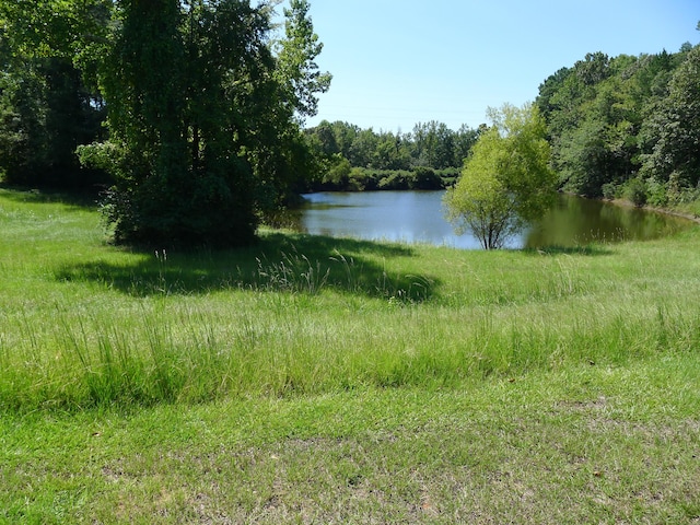 LOT8C9C Cross Crk Unit No 2C, Alexander City, AL 35010 - photo 13