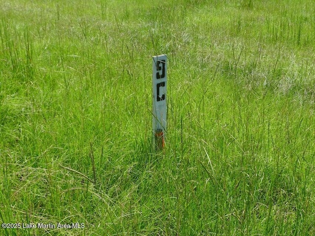LOT8C9C Cross Crk Unit No 2C, Alexander City, AL 35010 - photo 12