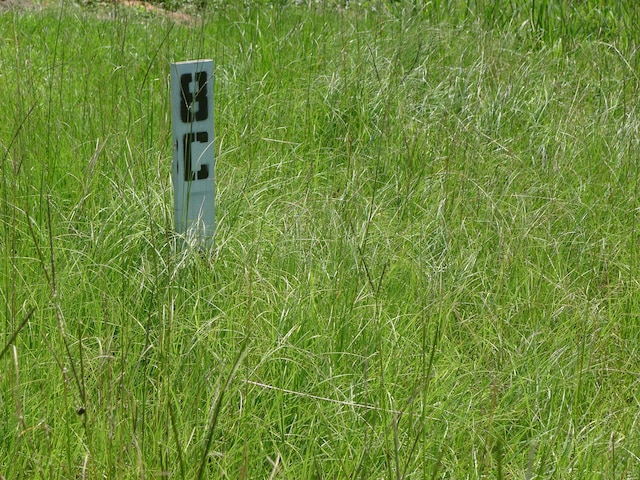 LOT8C9C Cross Crk Unit No 2C, Alexander City, AL 35010 - photo 11