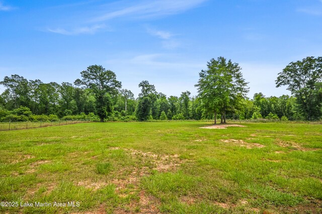 4869 County Road 2225, Troy, AL 36079 - view of yard with a forest view and fence