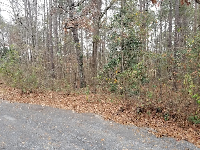 Listing photo 2 for Crestwood Cir, Alexander City AL 35010