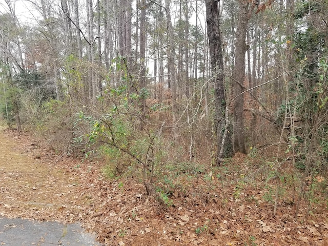 Listing photo 3 for Crestwood Cir, Alexander City AL 35010