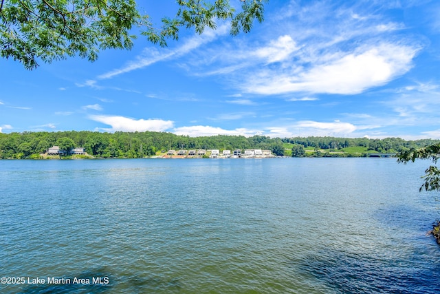 272 River Ridge Rd, Alexander City, AL 35010 - water view with a forest