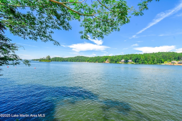 272 River Ridge Rd, Alexander City, AL 35010 - water view featuring a heavily wooded area