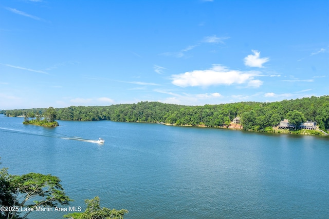 272 River Ridge Rd, Alexander City, AL 35010 - water view featuring a forest