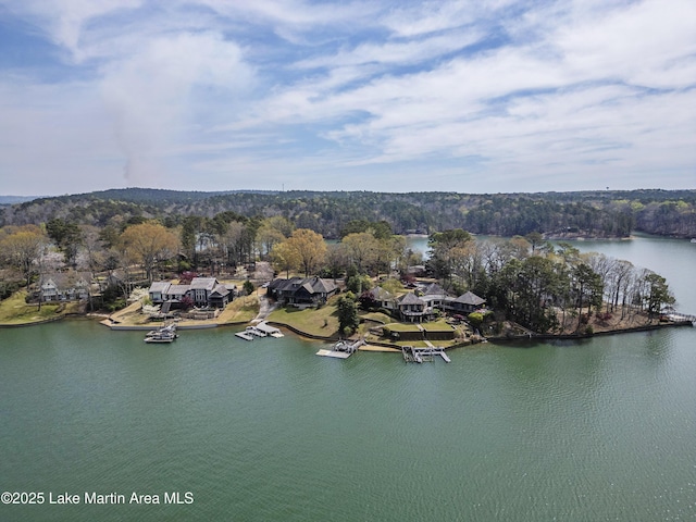 1220 Willow Way E, Alexander City, AL 35010 - drone / aerial view featuring a water view