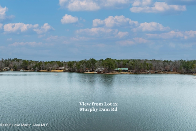 Listing photo 2 for 277 Murphy Dam Rd, Dadeville AL 36853