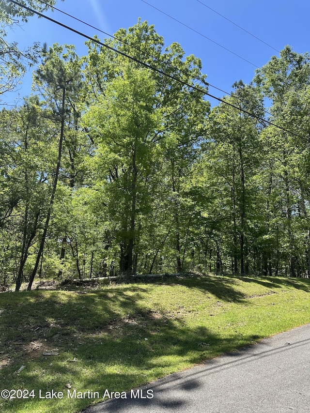 Lakeview Rdg, Dadeville AL, 36853 land for sale