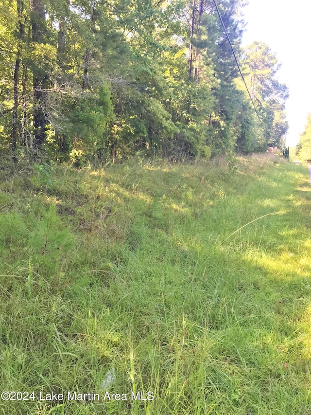 Listing photo 3 for LOT9 Andrew Jackson Rd, Alexander City AL 35010