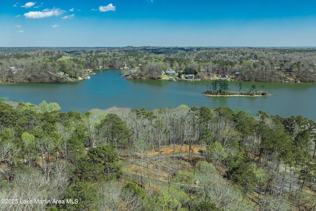 bird's eye view with a water view and a view of trees
