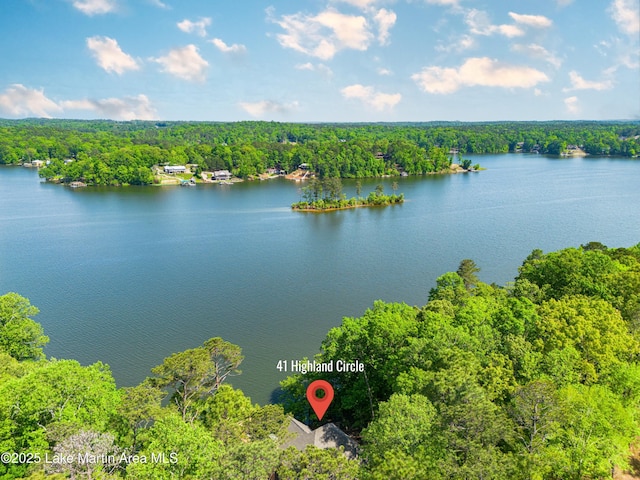 aerial view featuring a forest view and a water view
