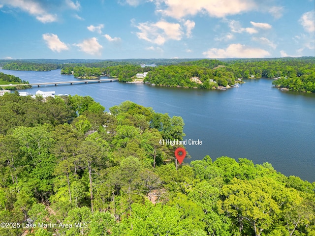 bird's eye view featuring a water view and a view of trees