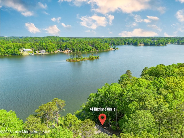 water view with a wooded view