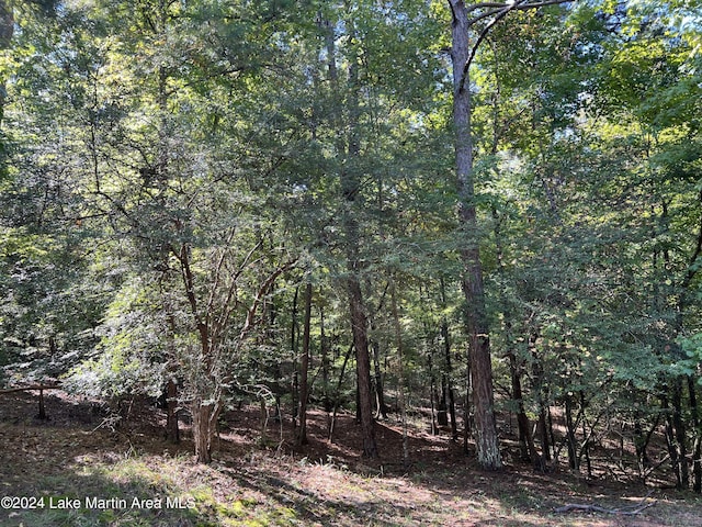 LOT33A Deer Run Rd, Dadeville AL, 36853 land for sale