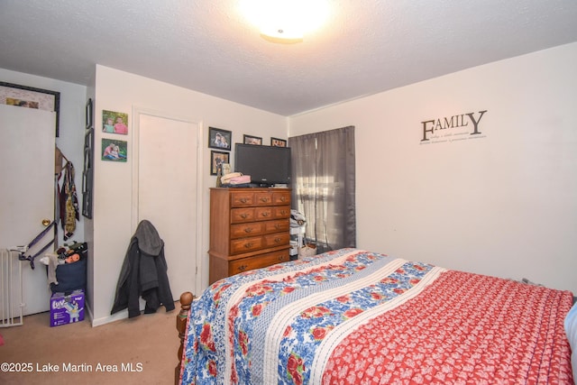 230 Lorena Dr, Alexander City, AL 35010 - bedroom featuring carpet, a textured ceiling, and radiator