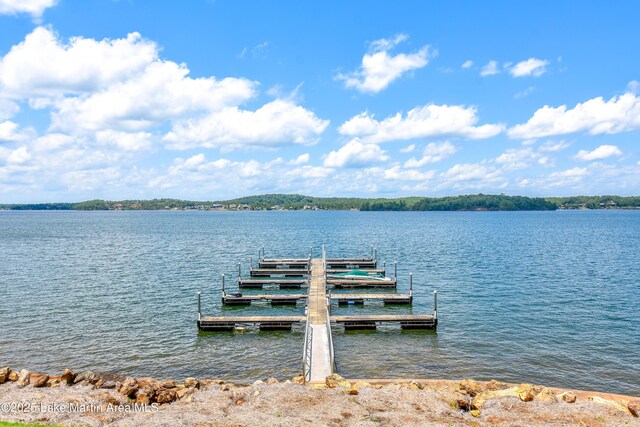 40 Crowne Pointe Rd, Dadeville, AL 36853 - photo 67
